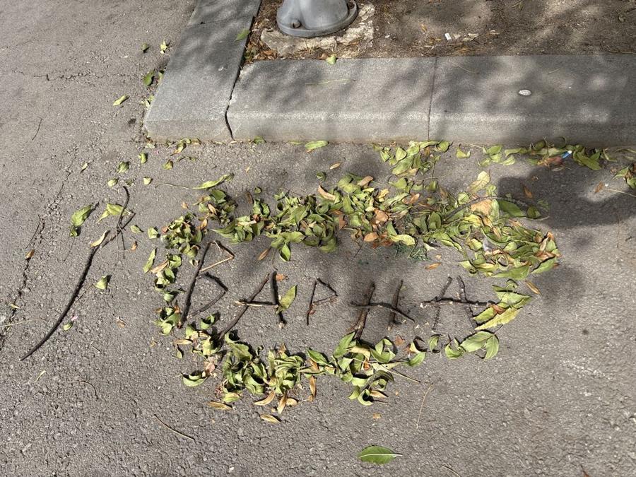 „Варна“, изписано с листа